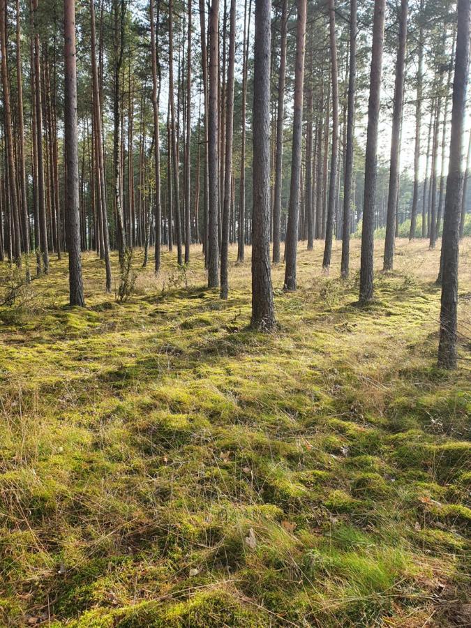 Milochowka - Dom Drewniany Blizniak Ferienhaus Wdzydze Tucholskie
